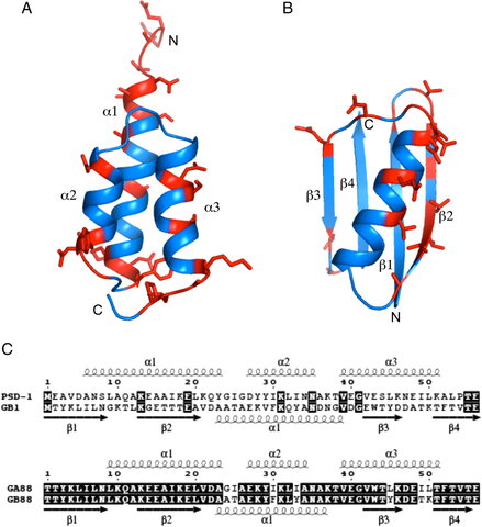 Protein Sequence  Database  (PSD)