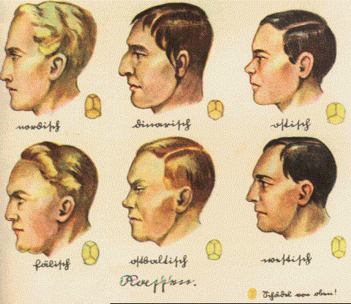 Karl Landsteiner y Philip Levine definieron que el 85% de las personas caucasoides eran Rh positivo y el 15% Rh negativo