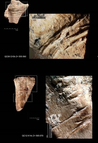 Primera conservación de alimentos