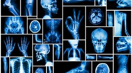 Timeline: Presaberes y fundamentos