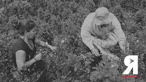 1928 - Primeras organizaciones