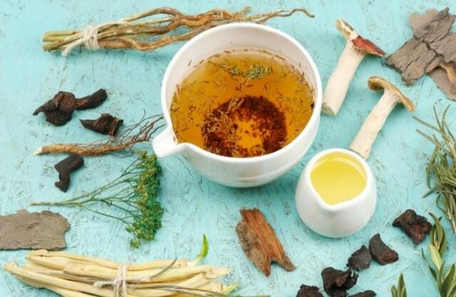 2013 AÑO 2013 LA OMS LANZA SU ESTRATEGIA SOBRE MEDICINA TRADICIONAL