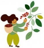 MIS PRIMERAS REMUNERACIONES