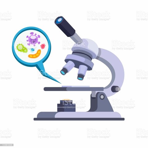 PRINCIPIOS DEL SIGLO XIX.