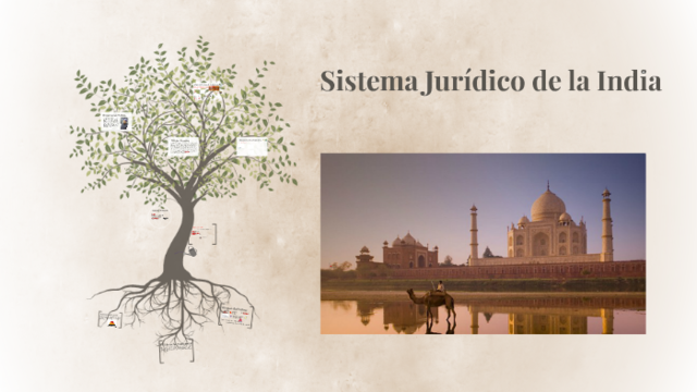 India - Aporte jurídico