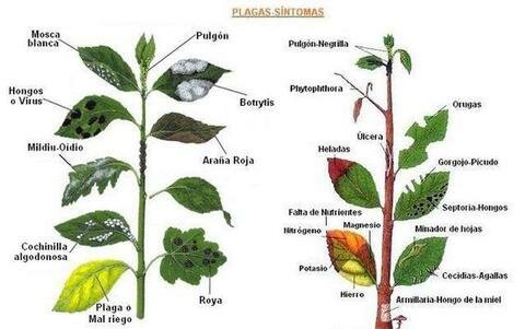 Otras nociones de causas