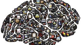 Timeline: Estudio de la Psicopatología