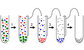 Albert Claude, George Palade y Christian de Duve