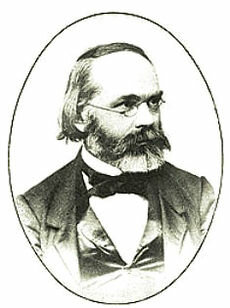 Karl Wilhelm von Nägeli (1817–1891)