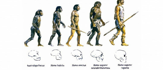 La teoría de la evolución biológica