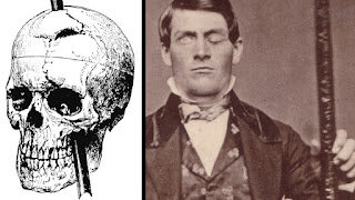 Teorias Biopsicologicas