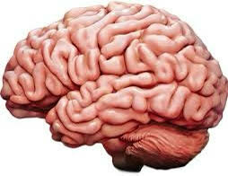 Measurement Movement