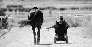 Robo del arma al cantón  norte por la guerrilla