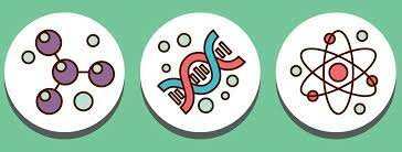 Efectos biológicos de la radiación