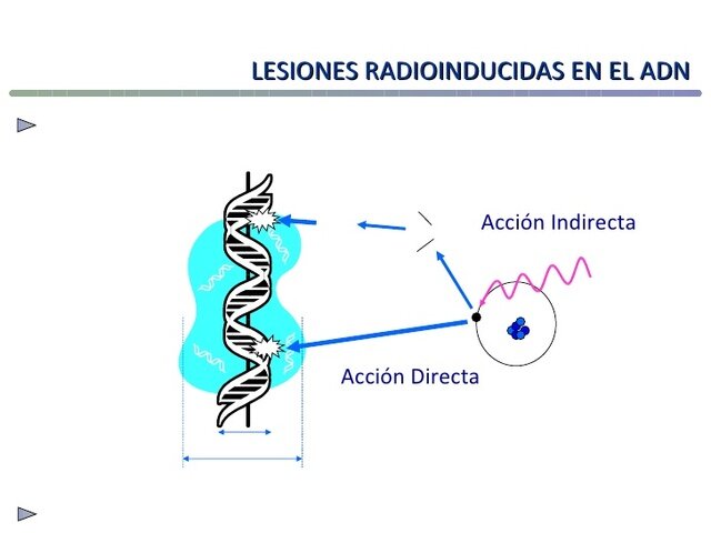 COMITÉ INTERNACIONAL DE PROTECCIÓN RADIOLÓGICA