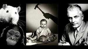 Aprendizaje - Watson