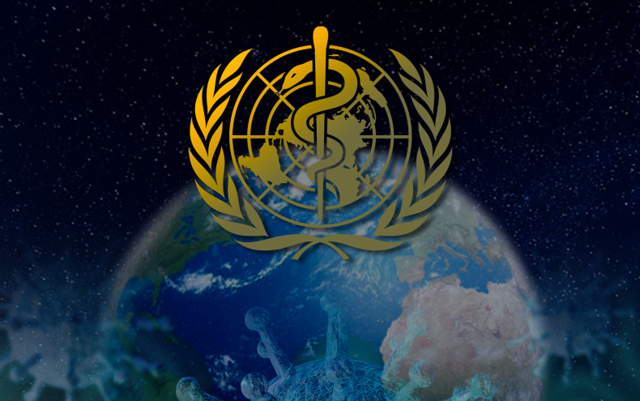 Organización Mundial de la Salud (OMS)