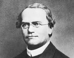 Gregor Mendel