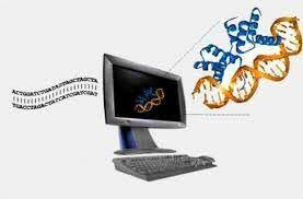 DEFINICION DE  BIOINFORMATICA