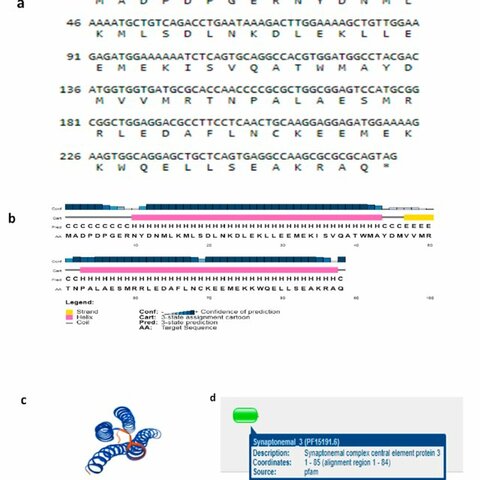 PROTEIN SEQUENCE DATABASE