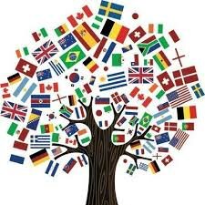 "Comparative Education Review"