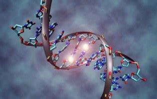 La genética: campo de investigación.