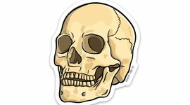 Timeline: Línea de tiempo Unidad I, II y III - Hernandez Cruz Adrian Iael (563)