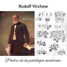 Virchow (1821- 1902),