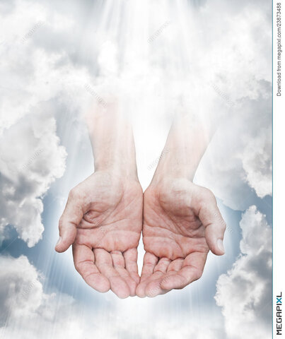 Why they stopped the study of medicine