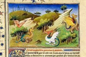 RUTA DE LAS ESPECIES