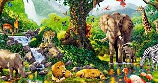 CLASIFICACION DE LOS SERES VIVOS EN REINOS