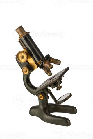 PRIMERA UTILIZACIÓN DE UN MICROSCOPIO PARA AISLAR ESTRUCTURA DE UN HONGO