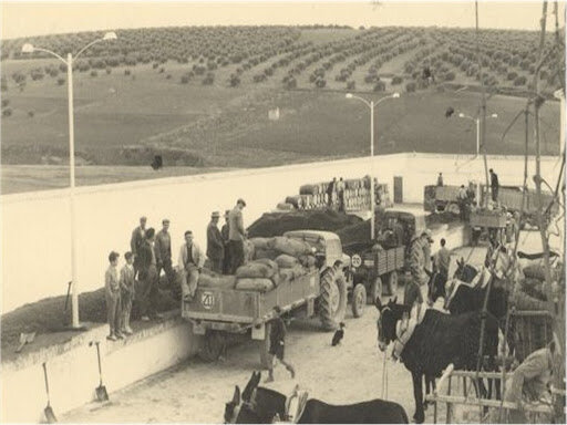 Se expide la ley 134 por el Congreso de Colombiano