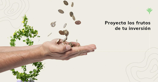 Arrow y Kurz suponen que toda la inversión pública es productiva