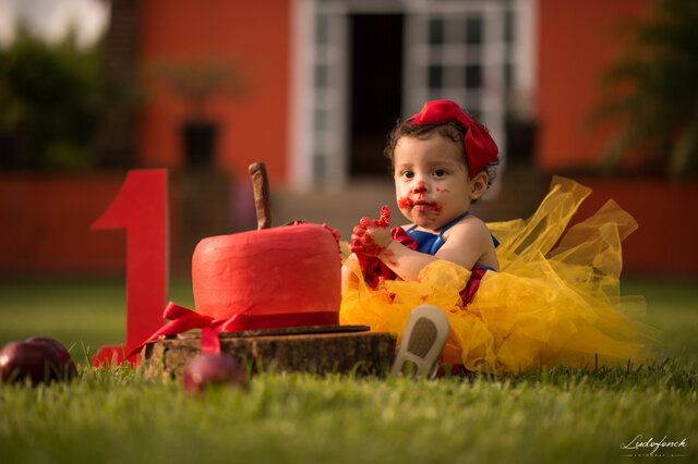 Primer año de mi hija.