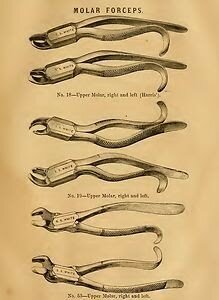 Italia (FABRICIO DE ACQUAPENDENTE)