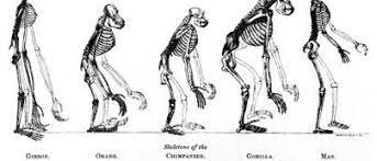Inicios del pensamiento psicosociológico