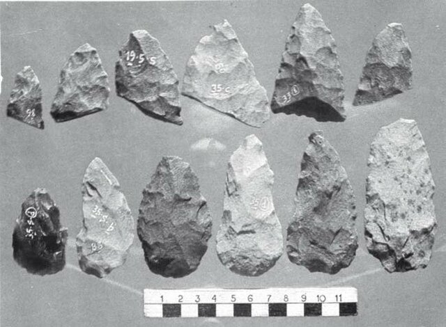 ARROYO CATALÁN – CHICO