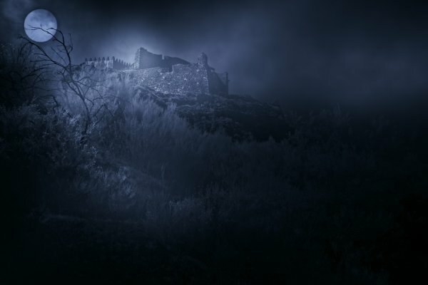 Stopped the study of medicine