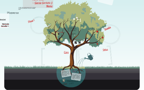 Pioneros de la disciplina