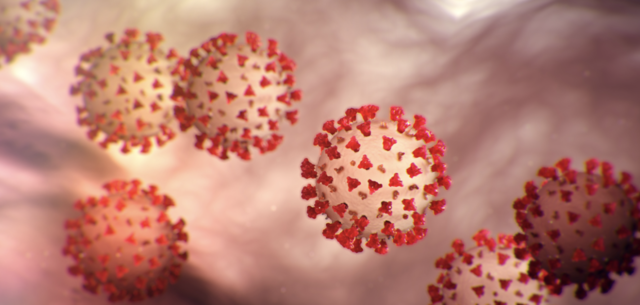 SARS-CoV-2 (COVID-19)