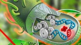 Timeline: Benites Vite-Genaro Isai_Act. 1_Línea de tiempo-Biología