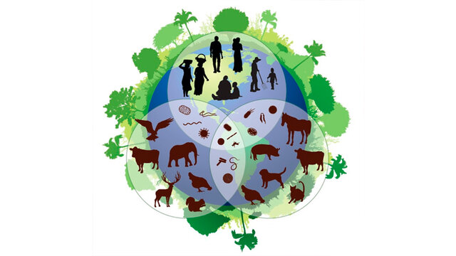 Día Internacional de la Diversidad Biológica