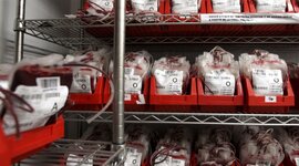 Timeline: Antecedentes hitoricos de banco de sangre.