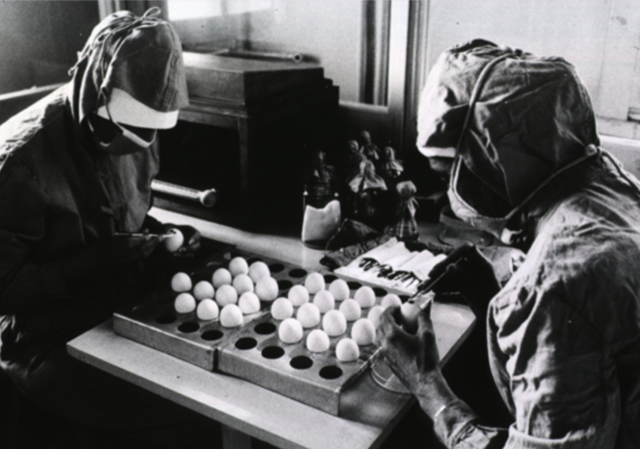 Measles, Mumps, and Rubella (MMR) Vaccine