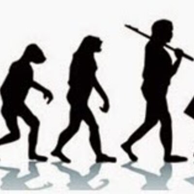 Timeline: Antecedentes Históricos de la Administración