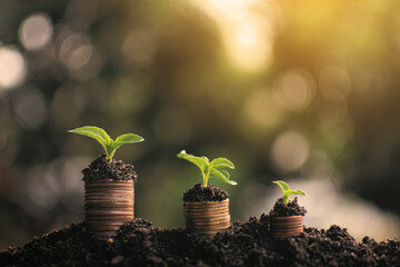 Objetivos de desarrollo sostenible de la ONU