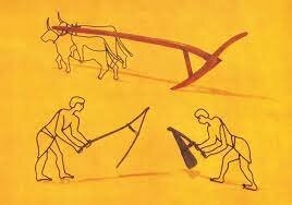 REVOLUCIÓN AGRICOLA O NEOLITICA