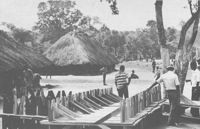 Afrikanske handelsrejsende gik i opløsning