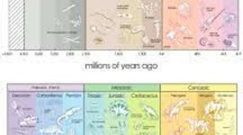 Timeline: Geokronoloogiline skaala Remy R2